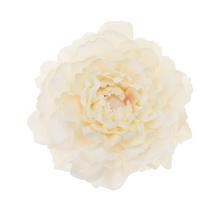 Umelá pivónia v krémovej farbe, priemer 4 cm, balenie 12 ks.