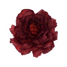 Umelá pivónia v bordovej farbe, priemer 4 cm.