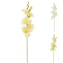 Umelé kvety gladiola v bielo-krémovo-marhulovom mixe.