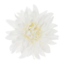 Biela umelá hlava dáhlie s priemerom 4 cm.