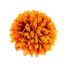 Hlava chryzantémy v oranžovo-červenej farbe s priemerom 12 cm.