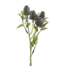 Umelé kvety Eryngium-Bodliak v fialovej farbe, 27 cm.