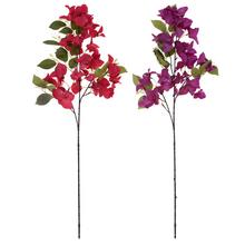 Konár Bungevila mix s červenými a fialovými kvetmi.