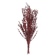 Sušené olivovníkové vetvičky v hnedej farbe.