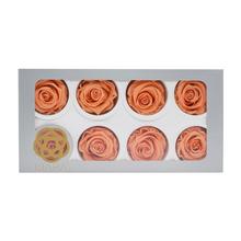 Ruža preparovaná v balení po 8 kusoch, farba PAPAYA.