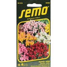 Semená papuľky väčšej Tom Pouce 0,5g.