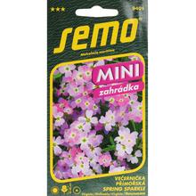 Semená kvetov Virginia Spring Sparkle 0,2g