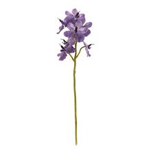 KS ORCHIDEA VANDA FIALOVI-BIELA x7 63CM
