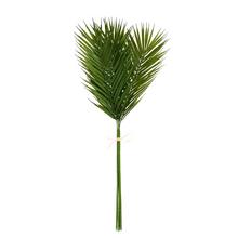 Umelá zeleň PHOENIX zväzok x6 75CM