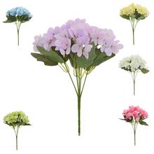 Kytica hydrangea mix s rôznymi farbami.