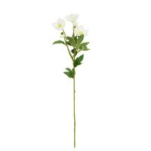 Umelá kvetina KS ČEMERICA BIELA 62CM