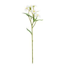 Umelá kvetina PLESNIVEC BIELY 50CM