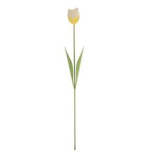 Bielo-žltý kovový tulipán