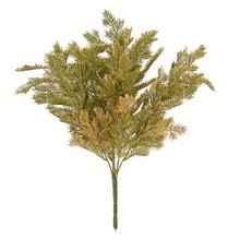 Zelený konár tuje s dĺžkou 50 cm.