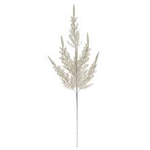 Biely konár paprade s metalickým efektom.