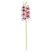 Umelá orchidea Phalaenopsis bielo-bordová 73 cm.