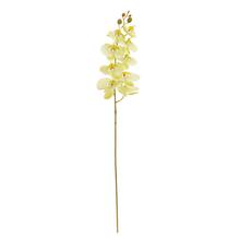 Umelá orchidea Phalaenopsis bledo zelená 95 cm