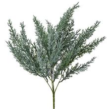 Zápich thuja strieborná 38 cm