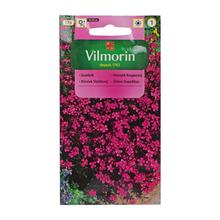 Semená klinček slzičkový 0,5g