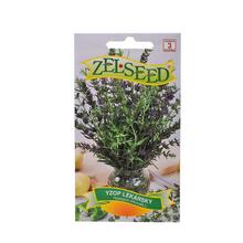 Semená Yzop lekársky 0,6g od ZELSEED.
