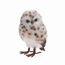 Textilná sova bielo-hnedá