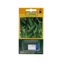 Blister s osivom uhorky Charlotte F1, 25 semien.