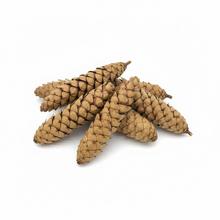 3481 Strobus 15-20cm natur 12ks