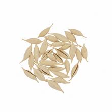 5106 Brachyciton bielený 250g