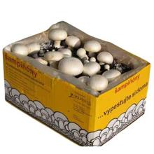 Substrát na pestovanie šampiňónov v balení 6,5L.