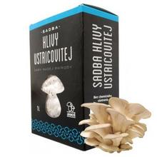 SADBA HLIVA USTRICOVÁ 1L v obale