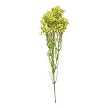 Umelé kvety WAXFLOWER v žltej farbe.