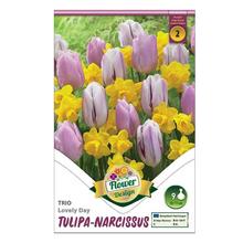 Sada cibúľ TRIO Lovely Day obsahujúca tulipány a narcis.