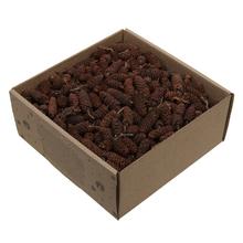 Prírodné šišky z brezy a borovice, 250g.