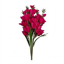 Kytica gladiola v cyklamenovej farbe, 75 cm.