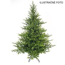 Vianočný stromček Luzern s výškou 180 cm a šírkou 147 cm.